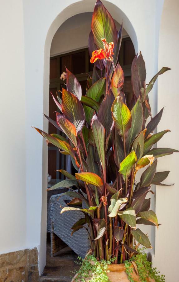 Amani Luxury Apartments Mombasa Dış mekan fotoğraf